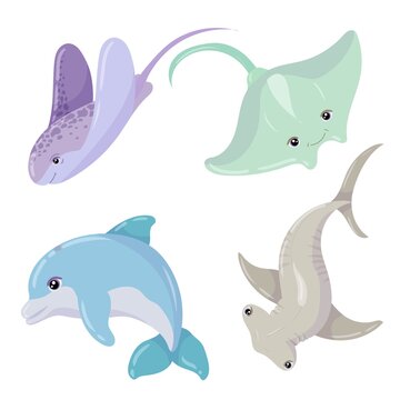 Sea creatures. Electric Ray, Shark and Dolphin. Sea creature. Vector illustration isolated on white background