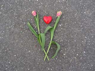 Blume und Herz auf Boden