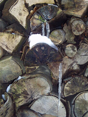 Icicle At Wood