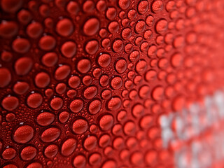 Water droplets isolated red background. Selective focus.