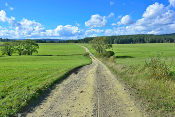 Rural road through fields with green herbs and blue sky with clouds