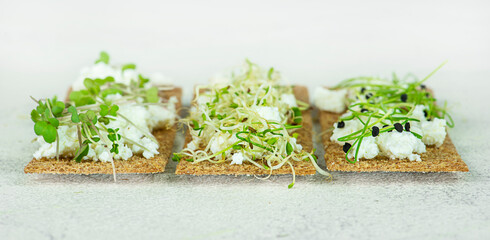 Healthy cheese bread sandwiches and microgreens.