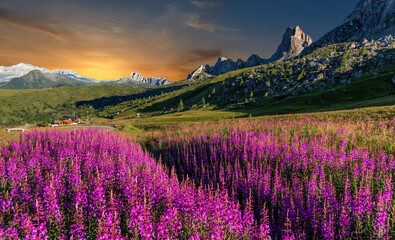 Fototapeta na wymiar Majestic alpine mountains during sunset. Wonderful nature scenery with colorful sky in mountain valleywith pink flowers. Great natural background. used as background, wallpaper