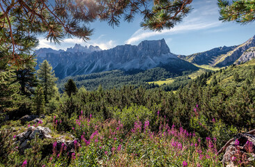 Fototapety na wymiar - Fototapeta24.pl