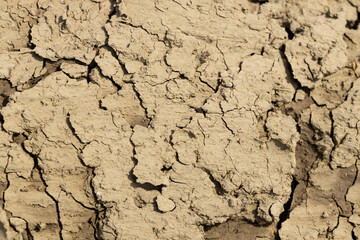 Background suitable for drought images of clods of earth and dry earth with cracks, macro photography of detail of cracks on the earth formed by the sun drying the earth, no water.