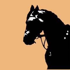 monochrome portrait realistic isolated image of the head and neck of a gray horse