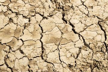 Background suitable for drought images of clods of earth and dry earth with cracks, macro photography of detail of cracks on the earth formed by the sun drying the earth, no water.