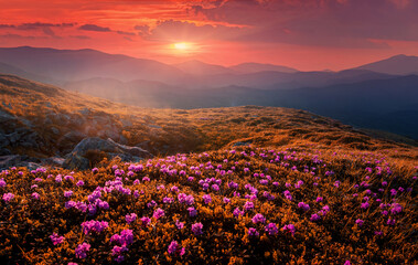 Breathtaking nature scenery during sunset. Scenic image of fairy-tale highland in sunlit....
