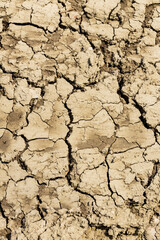 Background suitable for drought images of clods of earth and dry earth with cracks, macro photography of detail of cracks on the earth formed by the sun drying the earth, no water.