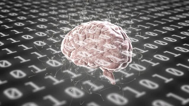 Human brain spinning against binary coding data processing on grey background