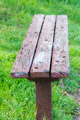 wooden bench in the park