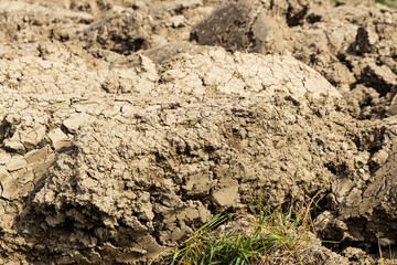 Background suitable for drought images of clods of earth and dry earth with cracks, macro photography of detail of cracks on the earth formed by the sun drying the earth, no water.