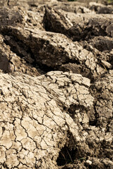 Background suitable for drought images of clods of earth and dry earth with cracks, macro photography of detail of cracks on the earth formed by the sun drying the earth, no water.