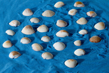 blue sand with shells