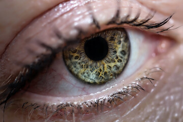 A woman's eye close up