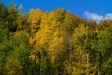 Obraz premium Sellin Rügen