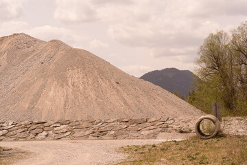 L&ouml;wenzahn w&auml;chst auf einer Strasse