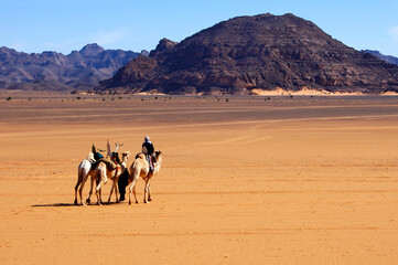 Camel Caravan Of The Tuareg Nomads Crossing A Vast Plain Inmidst The Acacous Mountains, Libya