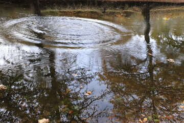 Beau reflet d'automne