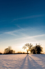 Dramatic winter sunset, freezing cold, snow covered. Clear blue sky at winter dusk. Fairy winter background.