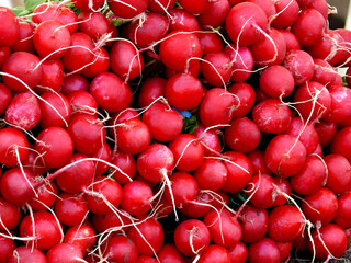 Radishes