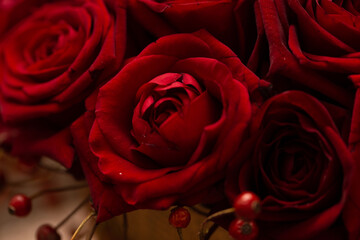 bouquet of beautiful red roses in close-up