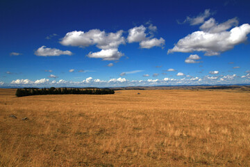 On a beautiful August afternoon, a panoramic view of Aubrac pastures (Loz&egrave;re, France)
