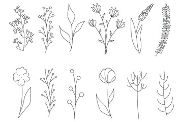 Collection of minimalistic simple floral elements. Graphic sketch. Fashionable tattoo design. Flowers, grass and leaves. Botanical natural elements. Vector illustration. Outline, line, doodle style. 