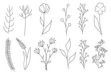 Collection of minimalistic simple floral elements. Graphic sketch. Fashionable tattoo design. Flowers, grass and leaves. Botanical natural elements. Vector illustration. Outline, line, doodle style. 