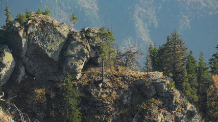 Aerial drone view of a rocky mountain peak in Cozia Massif. An arched rock forms a cavern on top of it. Several spruce trees manage to grow on the rocky crest. Carpathia, Romania.