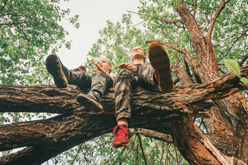 Friendship and childhood. Young mother with happy son in the park having fun sitting on tree and...