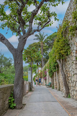 Beautiful footpath full of trees and flowers on Capri Island. Tourist couple walking on the beautiful narrow path with tropical plants and red flowers, Tyrrhenian sea, Capri island, Italy