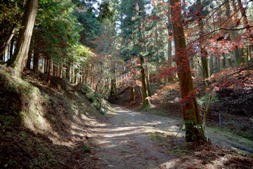 秋の延暦寺横川　紅葉の参道　滋賀県大津市