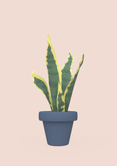 Sanseveria in a pot with a soft pink background