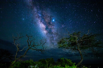 Maui Milky Way 