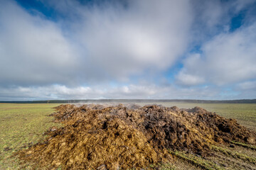 A dung heap in the field, which steams vigorously. Concept: agriculture