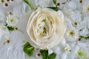 Beautiful white flowers background. Background for wedding scene and decoration .