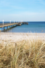 baltic sea with grass in the foreground and pier