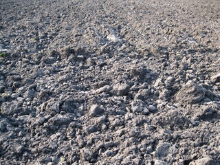 Plowed field texture.