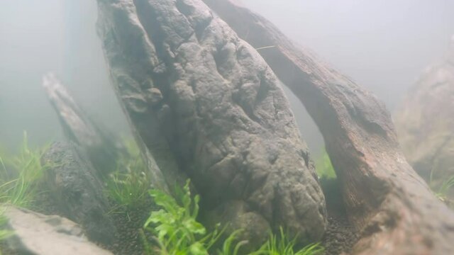 4K cinematic of newly setup aquatic plant tank made with frodo stones arrangement on soil substrate with plant (Hemianthus callitrichoides cuba) with co2 diffuser