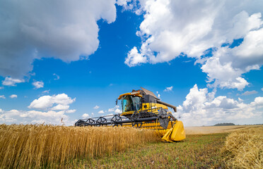 Process of gathering ripe crop from the fields. Special technic in field. Modern machinery in gold...