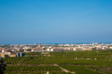 Fototapeta na wymiar Aerial views of L 'Alquería De La Comtessa, with orange groves, and views of the Mediterranean Sea in the background, on a sunny day with blue skies. 