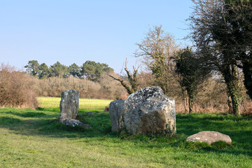 Tourist site named " the alignments of Kerzerho " . Southern Brittany. Morbihan. Standing and lying menhirs. Celtic and spiritual place