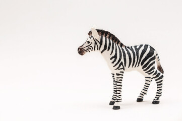 Fototapeta na wymiar Realistic toy zebra made of plastic isolate on a white background. African animal for Children. Copy space