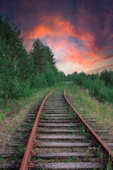 Fototapeta premium railroad tracks in the morning