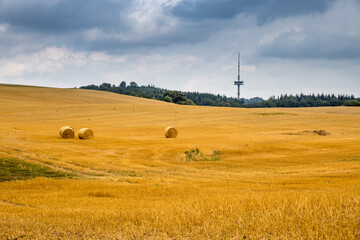 Fototapeta premium Hay Bales on Yellow Field under Blue Sky with Television Tower in Background, Germany, Europe