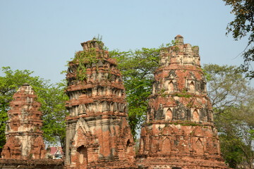 THAILAND AYUTTHAYA.  Wat Phra Mahatat, built in the 14th century, area dotted with small chedis and Khmer towers notably has a head of a Buddha statue where tree roots have grown around