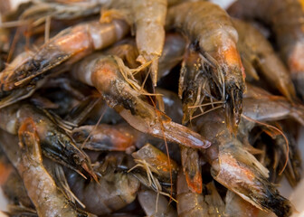 Lots of raw shrimp close-up.