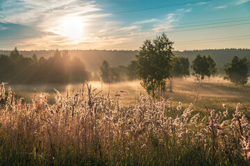 Fog in the dawn rays of the sun