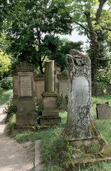 Fototapeta na wymiar Graeberfeld auf dem juedischen Friedhof in Worms